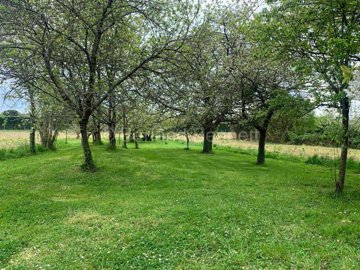 e73cc408-a09a-93dd-f0cb-f1c5ff39e9ff