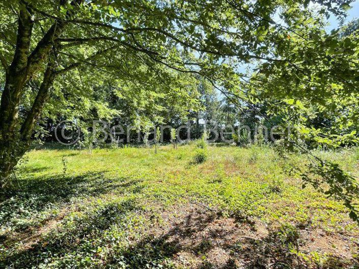 Image No.23-Maison de 4 chambres à vendre à Sauzé-Vaussais