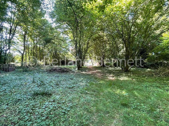 Image No.24-Maison de 4 chambres à vendre à Sauzé-Vaussais