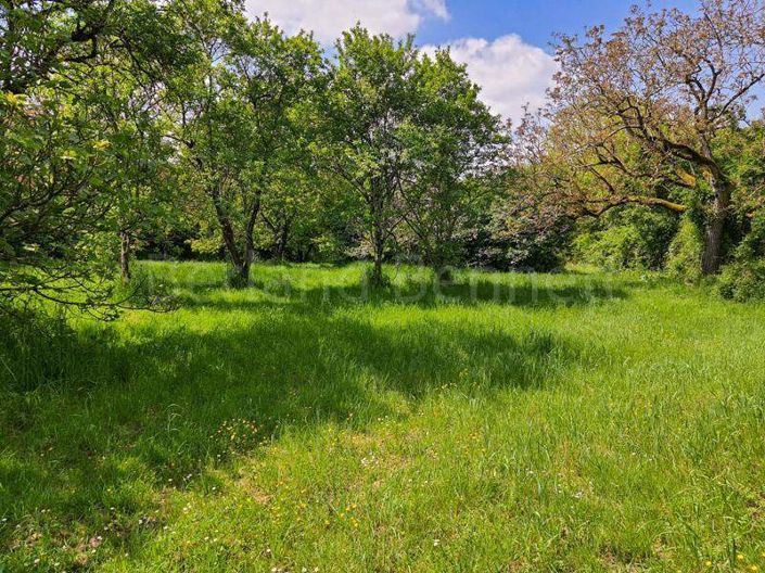 Image No.19-Maison de 5 chambres à vendre à Lezay