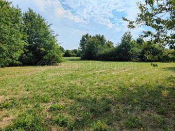 00613504-d7e6-af78-b6c4-8d72c717db4a