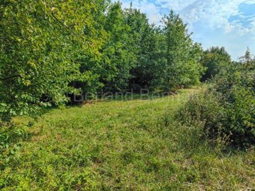 4ef93cab-32c0-fdb6-fc3f-32471db24f25