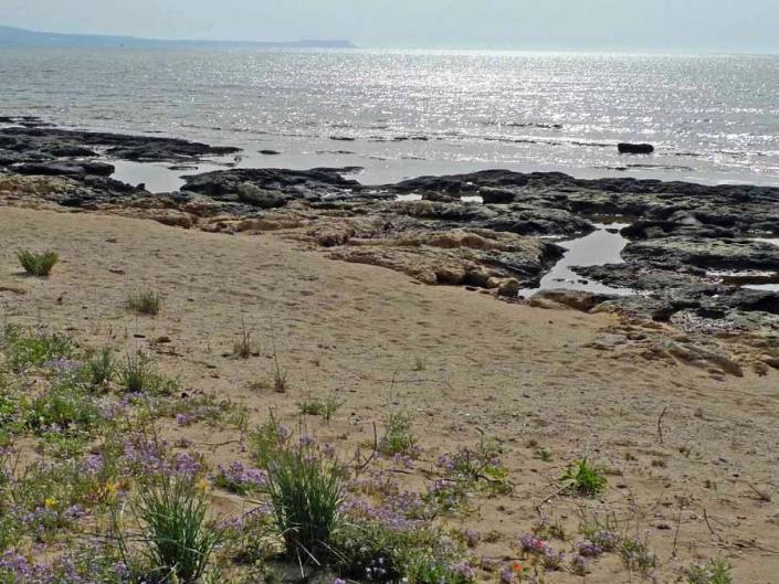 Image No.19-Villa / Détaché de 4 chambres à vendre à Ayia Thekla