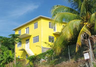 1 - Canaries, Maison