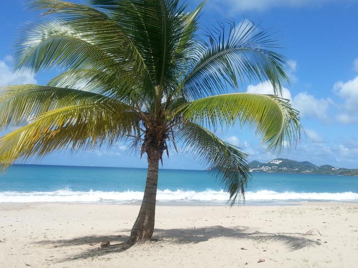 Image No.46-6 Bed House for sale