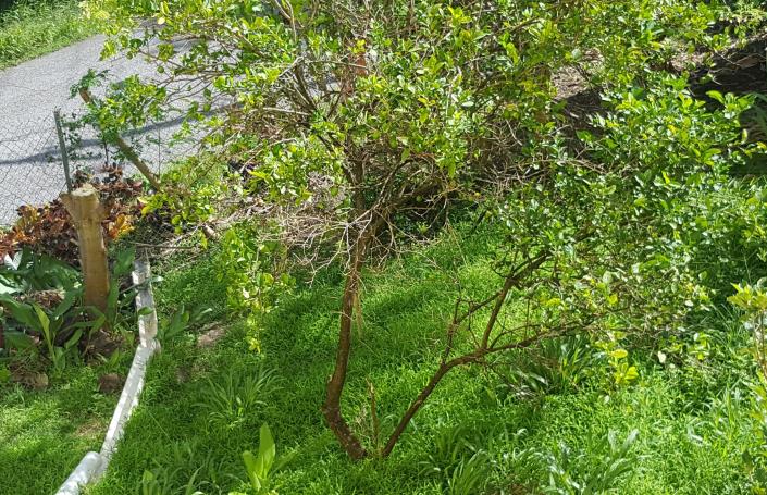 Image No.32-6 Bed House for sale