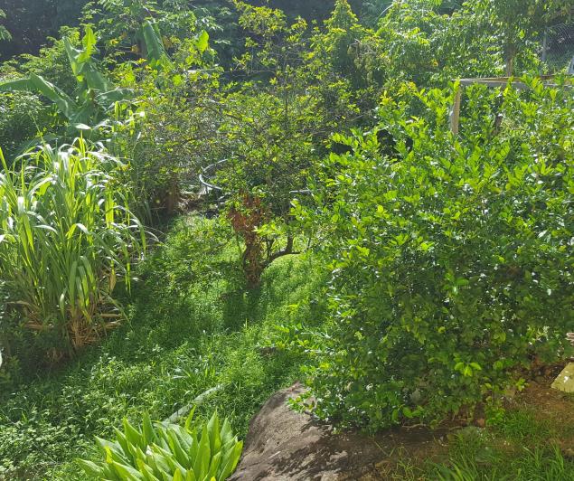 Image No.37-6 Bed House for sale