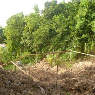 Image No.40-6 Bed House for sale