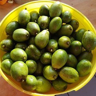 Image No.42-6 Bed House for sale