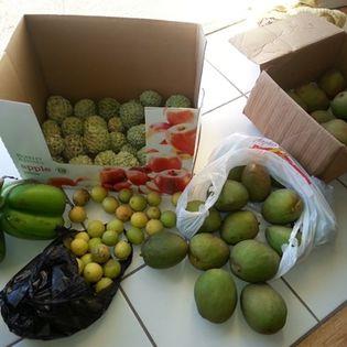 Image No.41-6 Bed House for sale