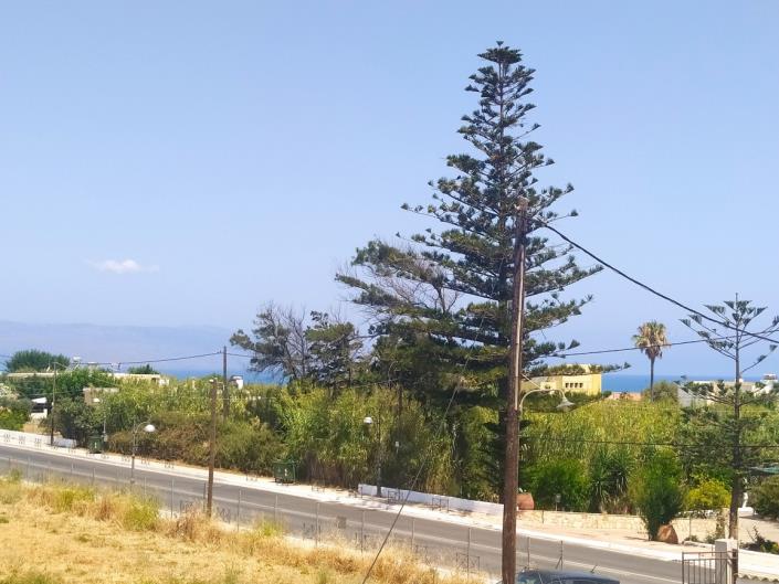 Image No.19-Maison de 2 chambres à vendre à Platanos