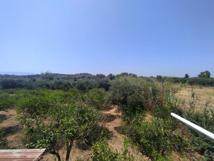 Image No.28-Maison de 2 chambres à vendre à Platanos