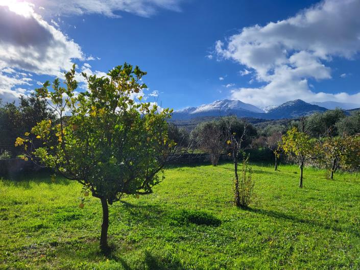 Image No.2-6 Bed House for sale