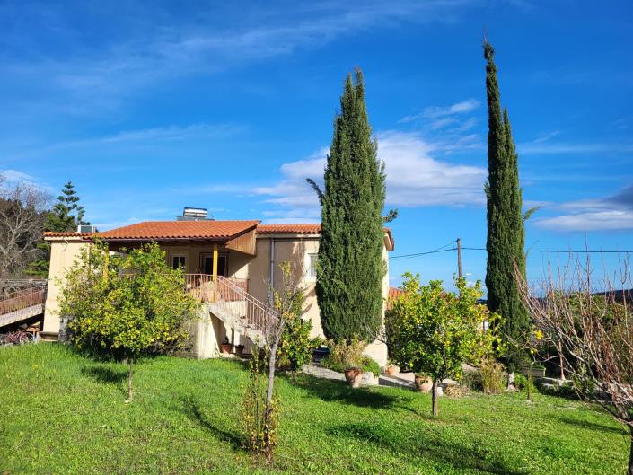 Image No.3-6 Bed House for sale