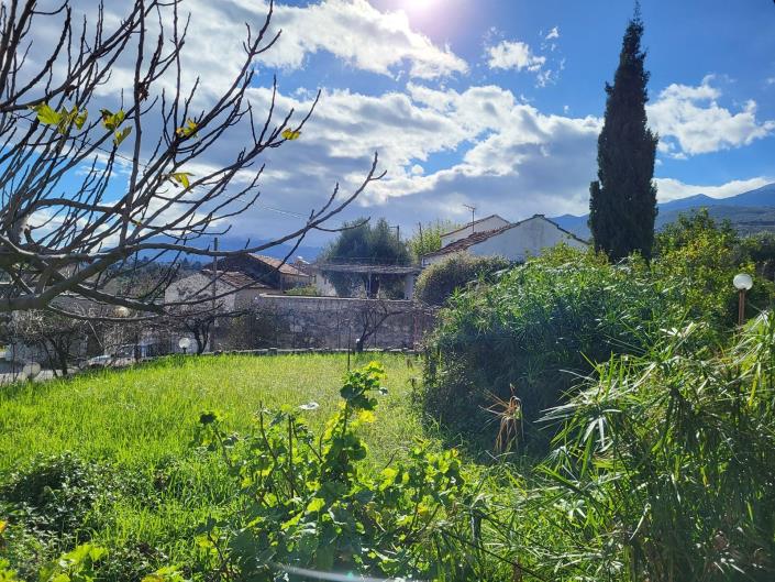 Image No.50-6 Bed House for sale