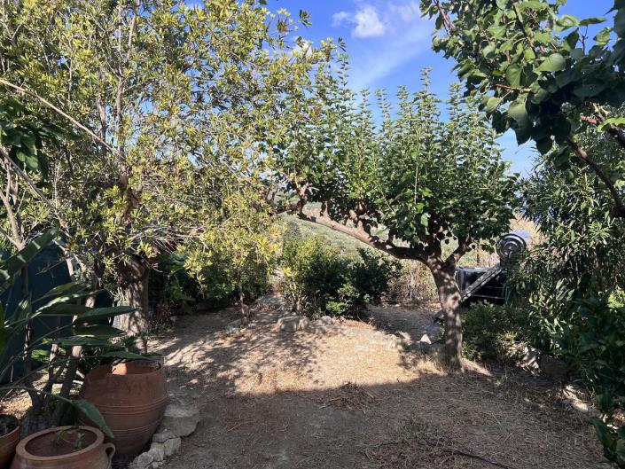 Image No.29-3 Bed House for sale