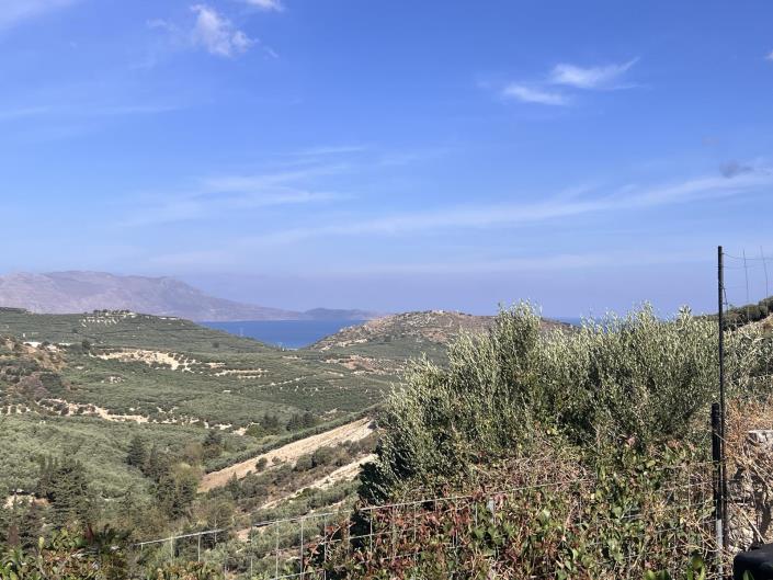 Image No.30-3 Bed House for sale