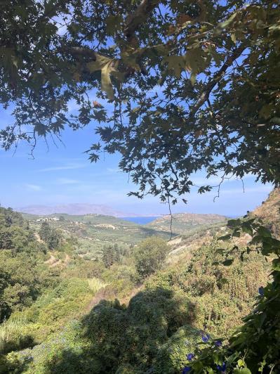 Image No.32-3 Bed House for sale