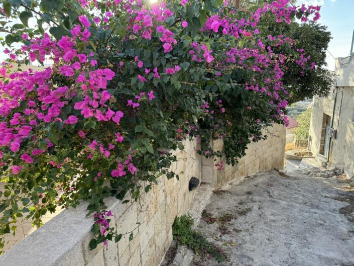 Image No.4-Appartement de 2 chambres à vendre à Platanias