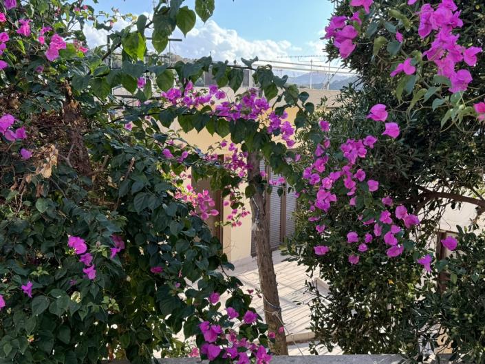 Image No.7-Appartement de 2 chambres à vendre à Platanias