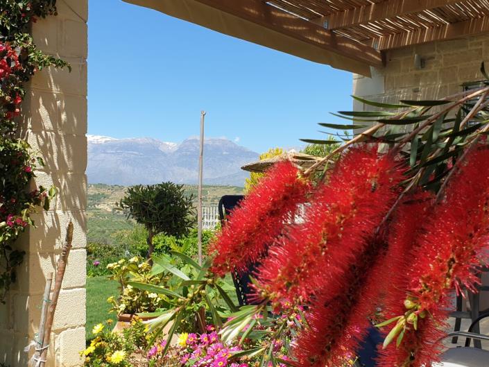 Image No.11-Villa de 2 chambres à vendre à Kamilari