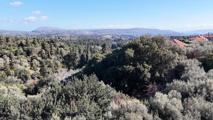 Image No.6-Maison de 2 chambres à vendre à Tzitzifes