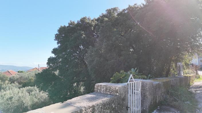 Image No.11-Maison de 2 chambres à vendre à Tzitzifes