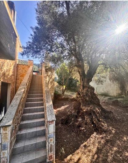 Image No.15-Maison de 3 chambres à vendre à Sougia