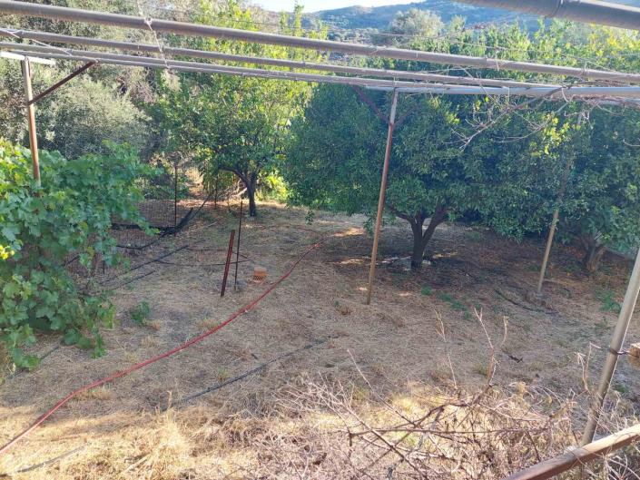 Image No.17-Maison de 3 chambres à vendre à Sougia