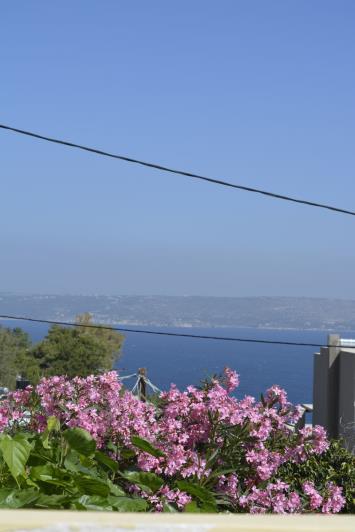 Image No.30-5 Bed House for sale