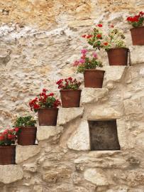 Stone-guesthouse-for-sale-in-Crete-Greece--13-