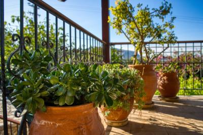 Stone-house-for-sale-in-Apokoronas-Chania-Crete--13-