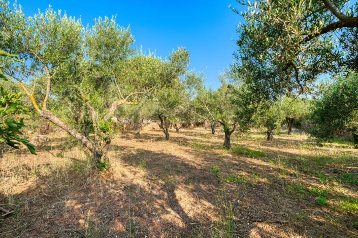 Image No.27-Maison à vendre à Xirosterni