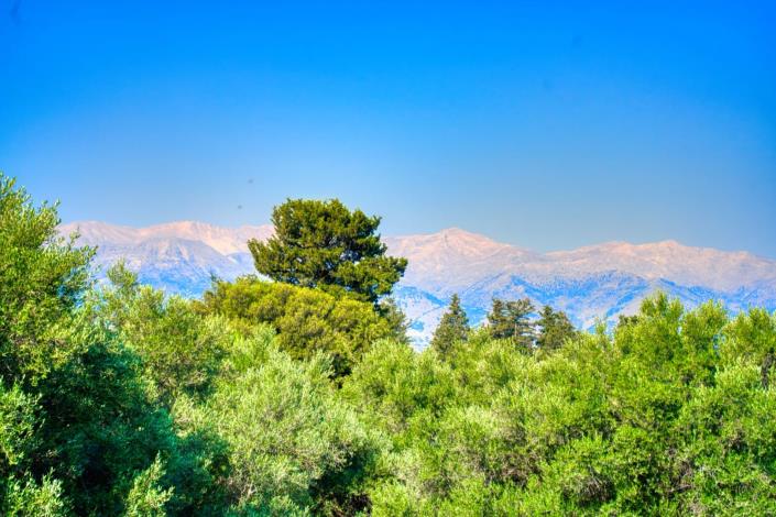 Image No.28-Maison à vendre à Xirosterni