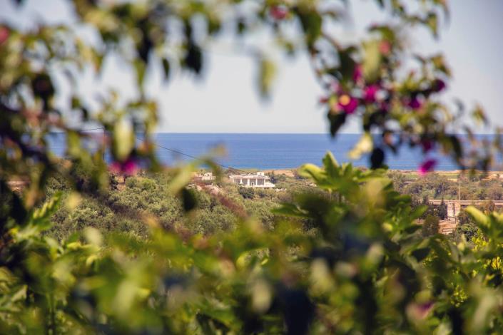 Image No.19-2 Bed House for sale