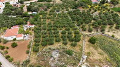 Land-for-sale-in-Litsarda-Apokoronas-Chania-Crete--1-