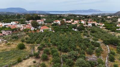 Land-for-sale-in-Litsarda-Apokoronas-Chania-Crete--5-