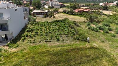 Land-for-sale-in-Chania-Crete--7-