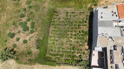 Land-for-sale-in-Chania-Crete--11-