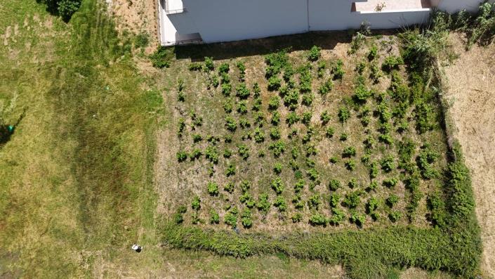 Image No.12-Terre à vendre à Maleme