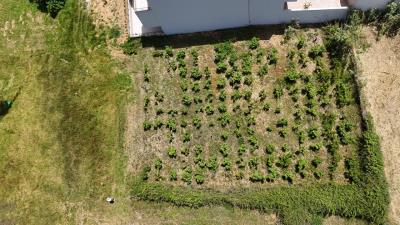 Land-for-sale-in-Chania-Crete--12-