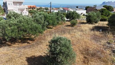 Land-in-Akrotiri-Chania-Crete-for-sale--2-