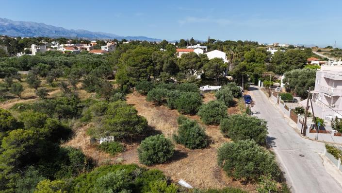 Image No.7-Terre à vendre à Crète