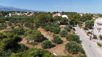 Land-in-Akrotiri-Chania-Crete-for-sale--6-