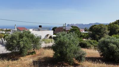 Land-in-Akrotiri-Chania-Crete-for-sale--7-