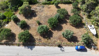 Land-in-Akrotiri-Chania-Crete-for-sale--9-