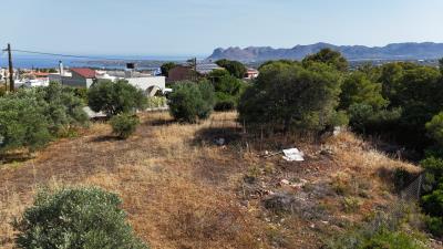 Land-in-Akrotiri-Chania-Crete-for-sale--15-