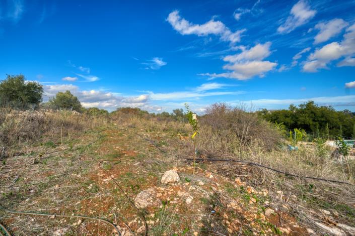 Image No.15-Villa de 2 chambres à vendre à Litsarda