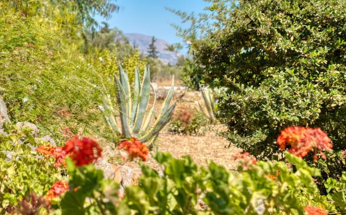 Image No.5-Villa de 4 chambres à vendre à Xirosterni