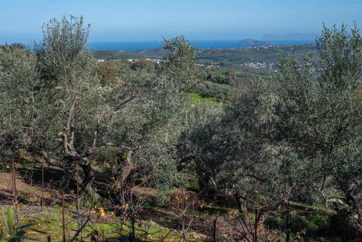 Image No.13-Villa de 5 chambres à vendre à Kolymbari